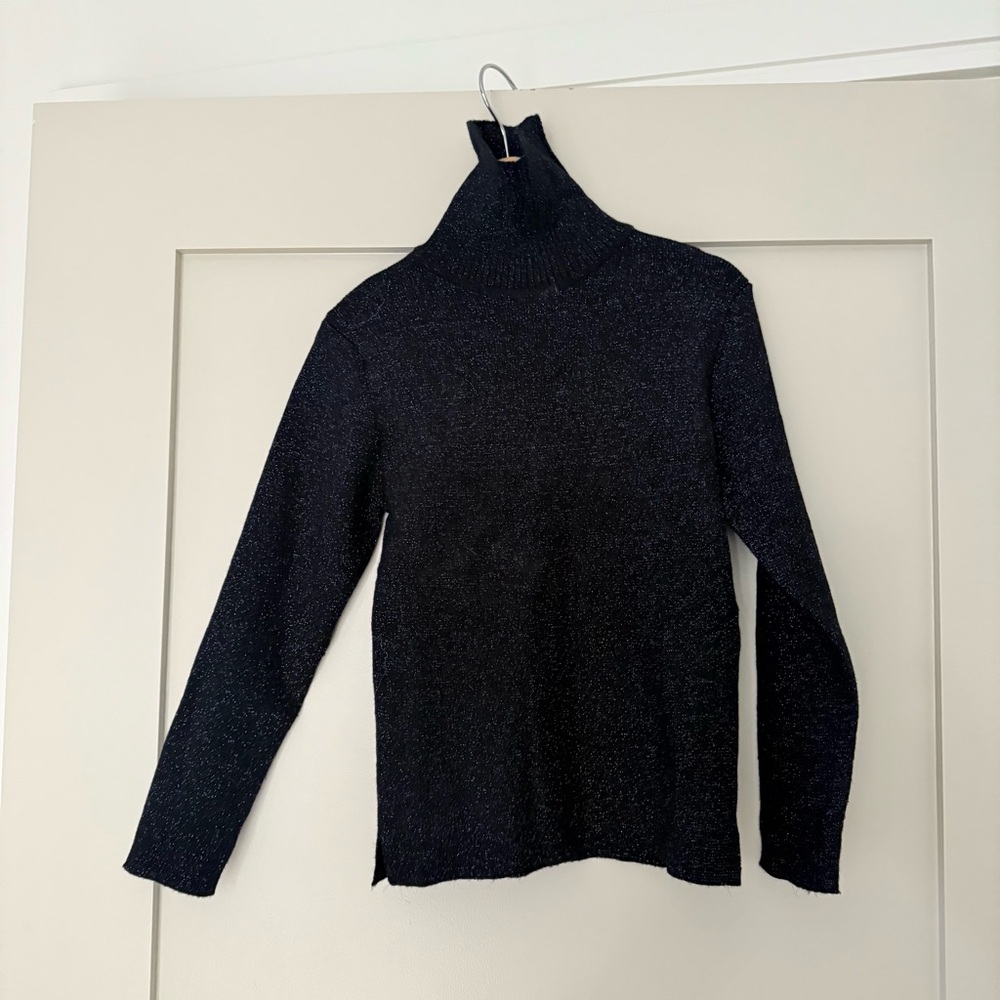 Zara Black Glitter Turtleneck Sweater